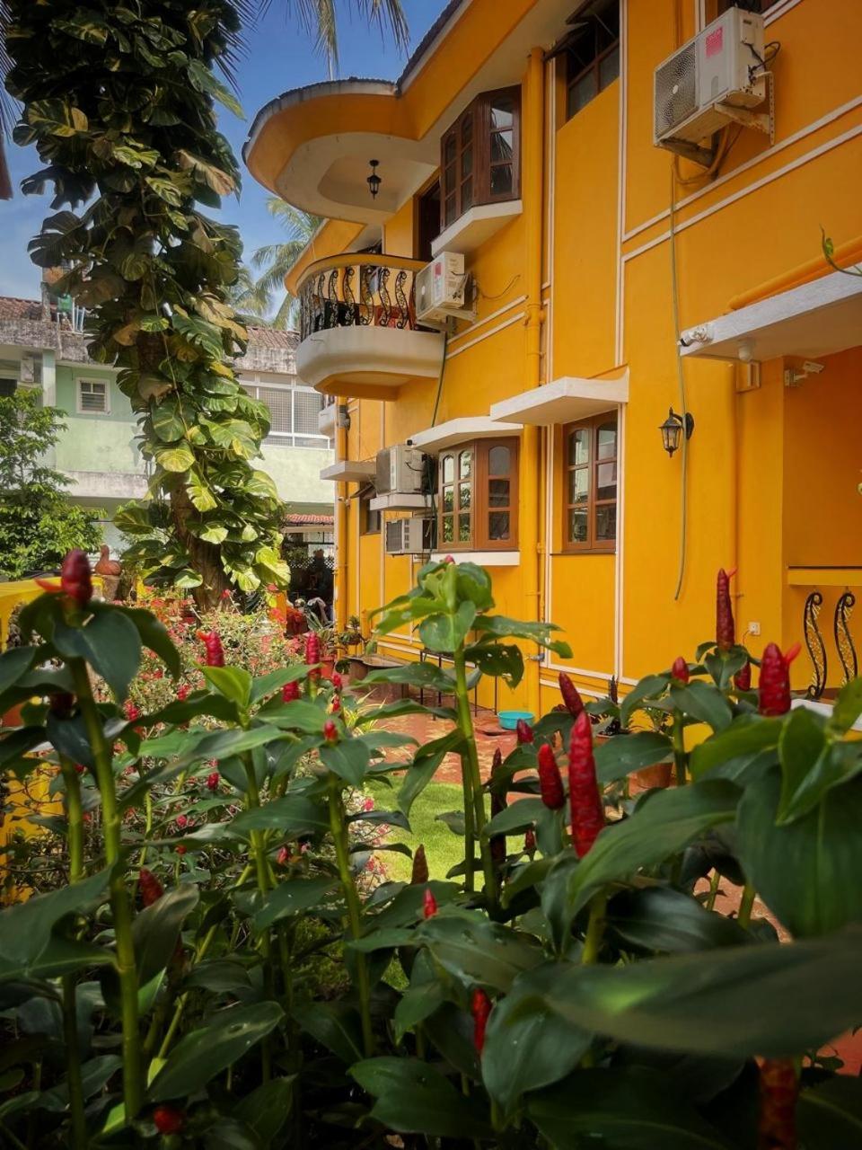 Minria Guest House 베나울림 외부 사진